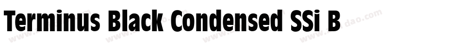 Terminus Black Condensed SSi Bold Condensed字体转换